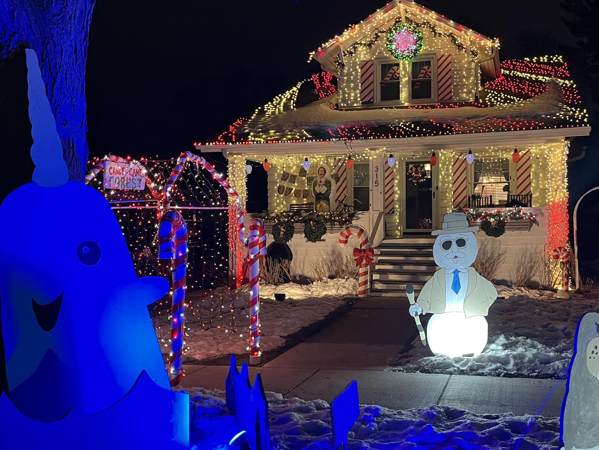 A beautifully decorated house for Christmas